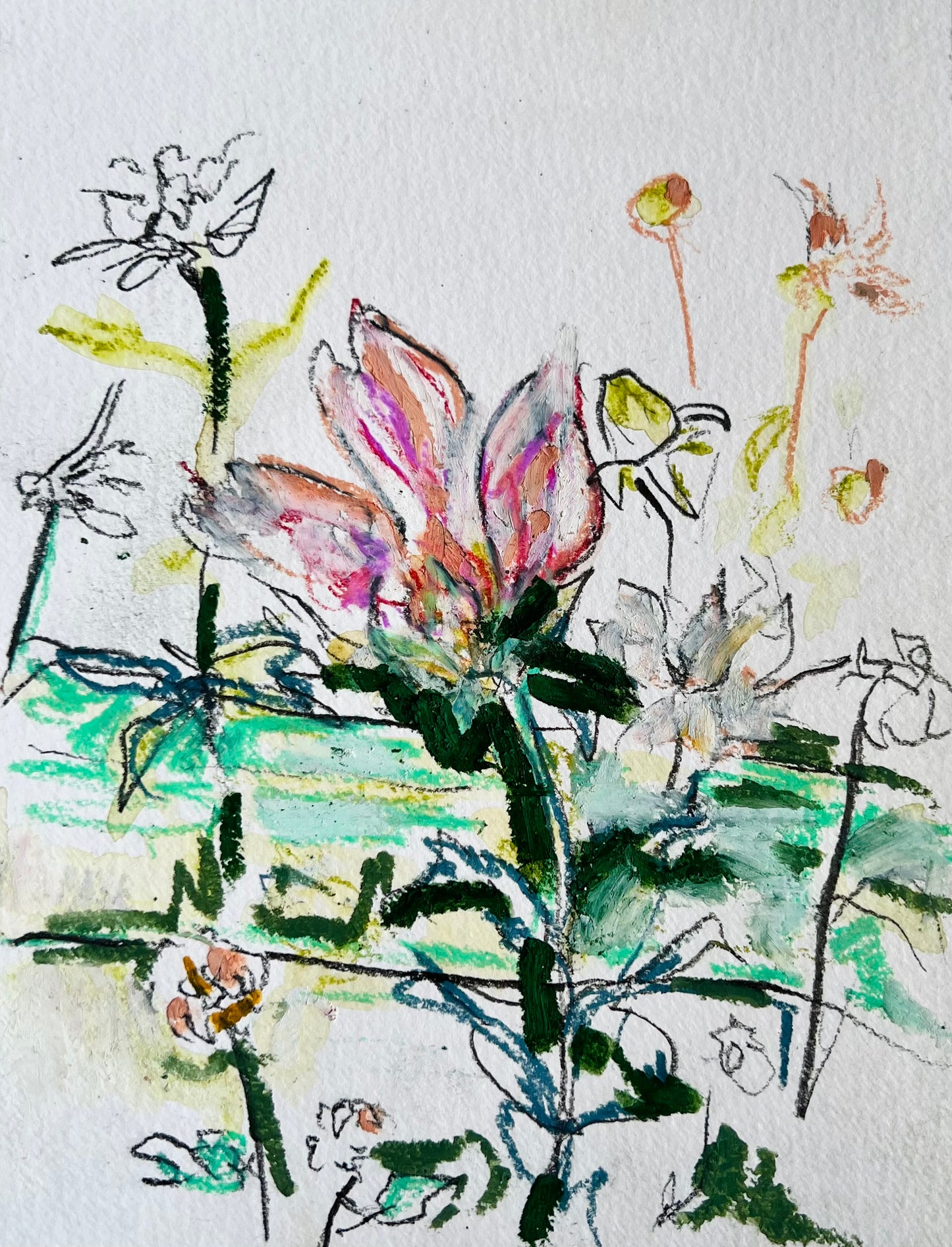 From the Vault: Caroline Gidiere’s dahlias