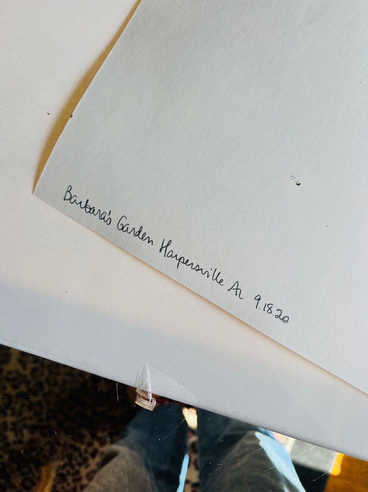From the Vault: Barbara’s home, Black Sheep Antiques