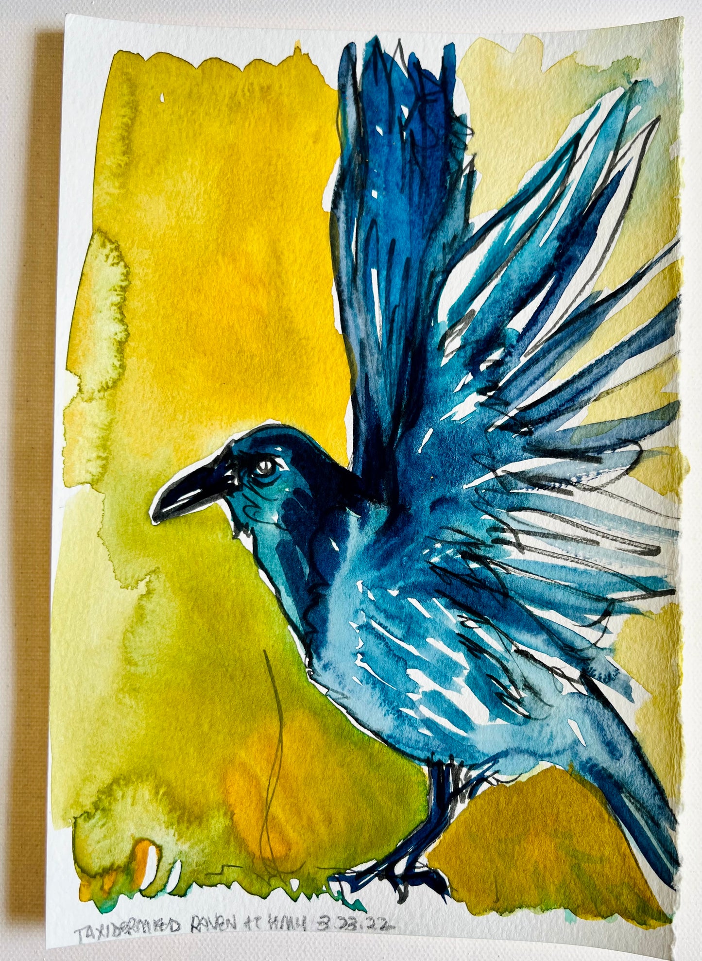 From the Vault: Raven at Highlander Mountain House, North Carolina