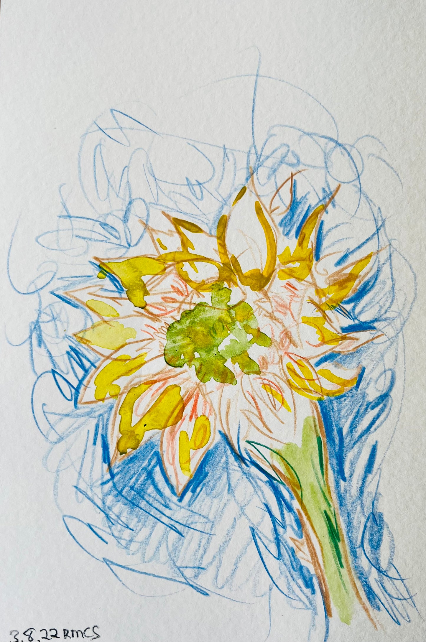 From the Vault: Flowers for Ukraine