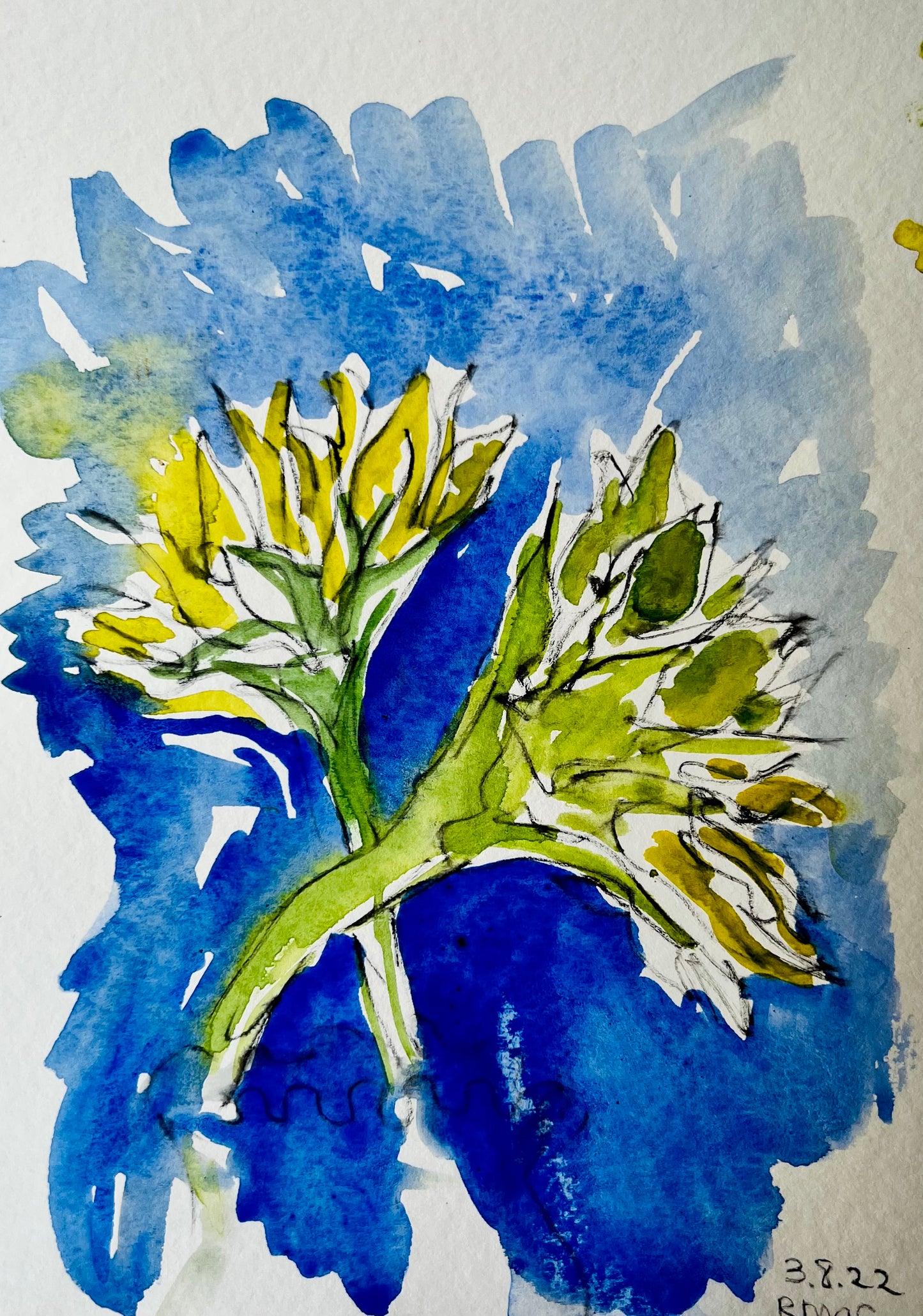 From the Vault: Flowers for Ukraine