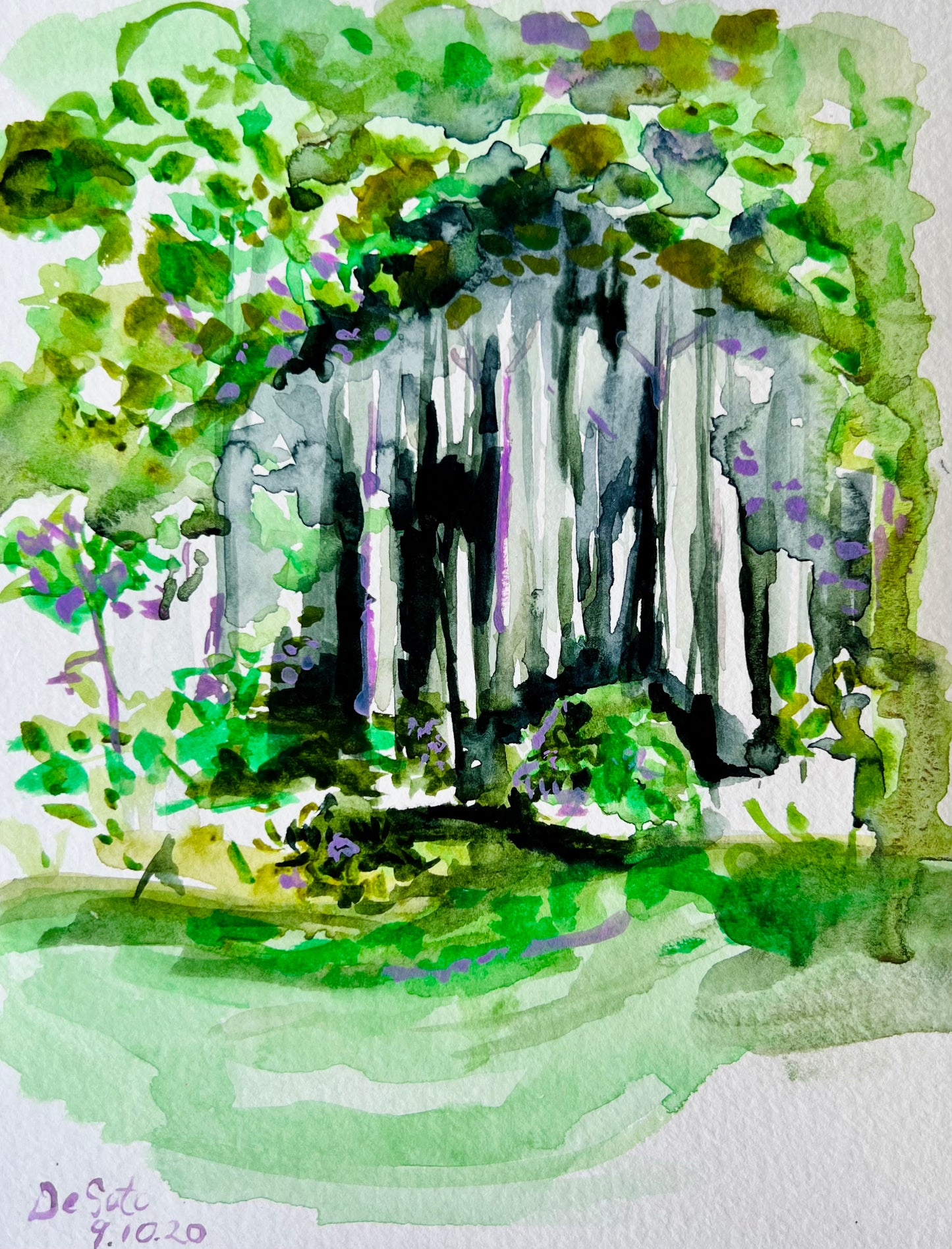 From the Vault: Desoto National Forest
