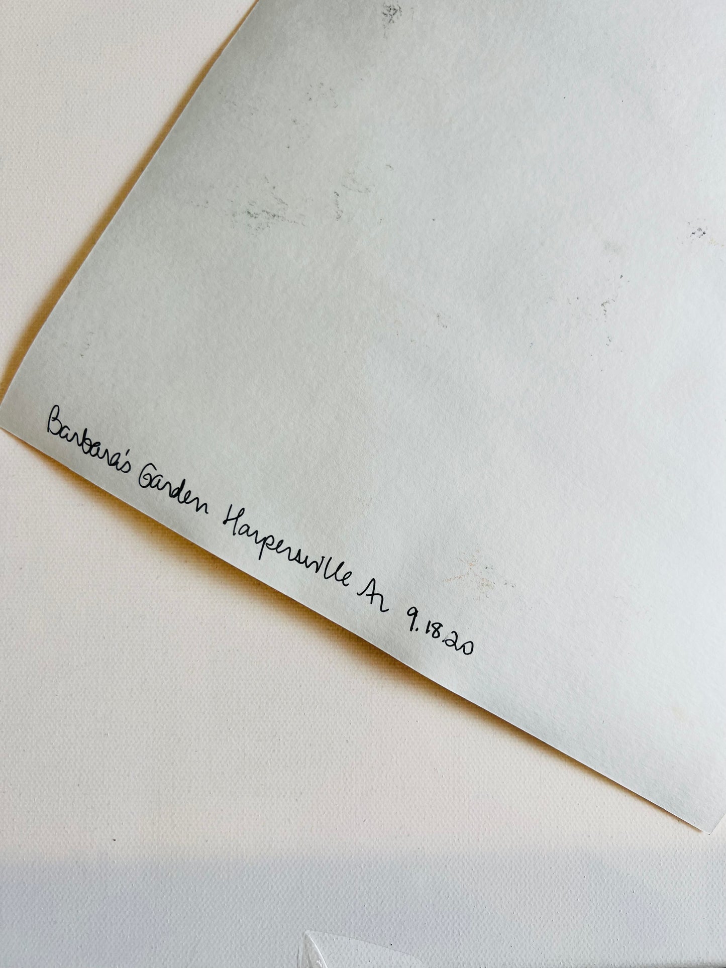 From the Vault: Barbara’s home, Black Sheep Antiques