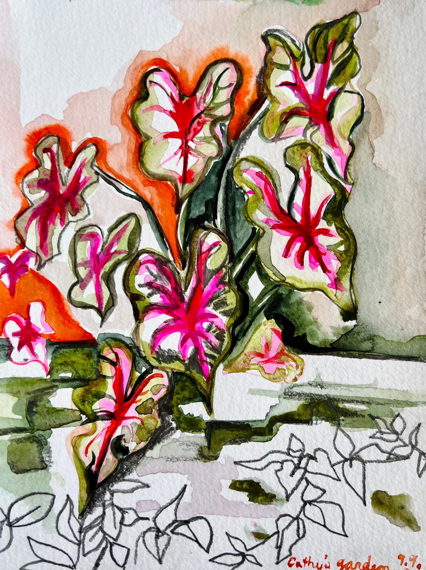 From the Vault: Cathy’s Garden