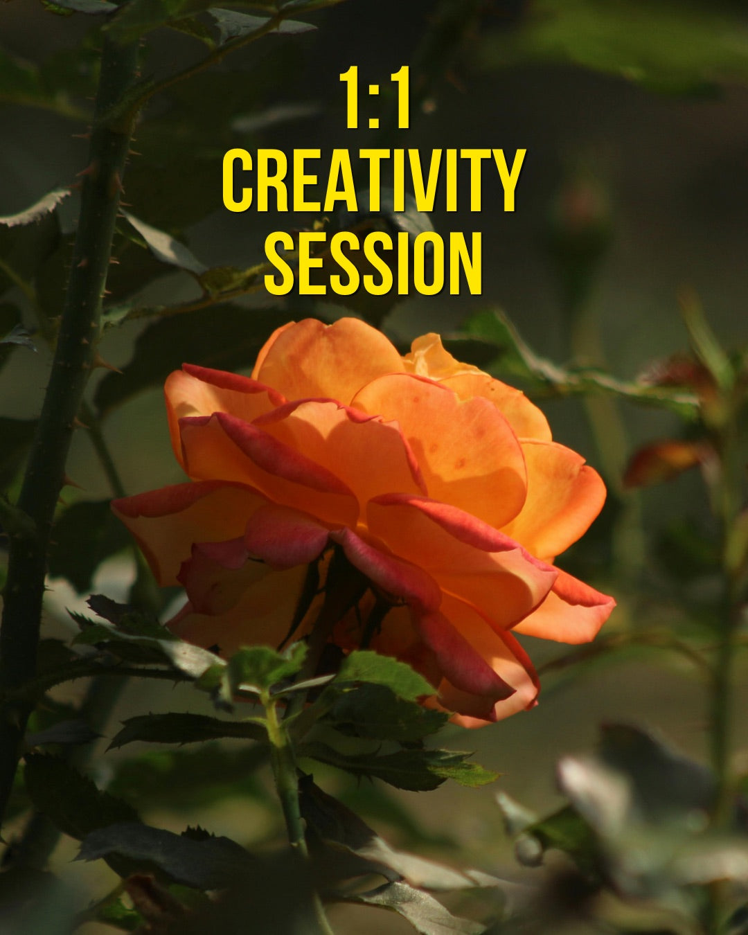 Creativity Session: Art and More