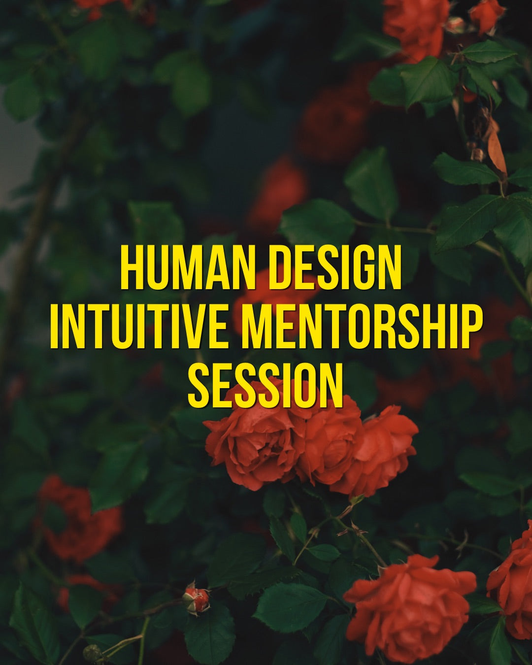 Human Design Intuitive Mentoring Session