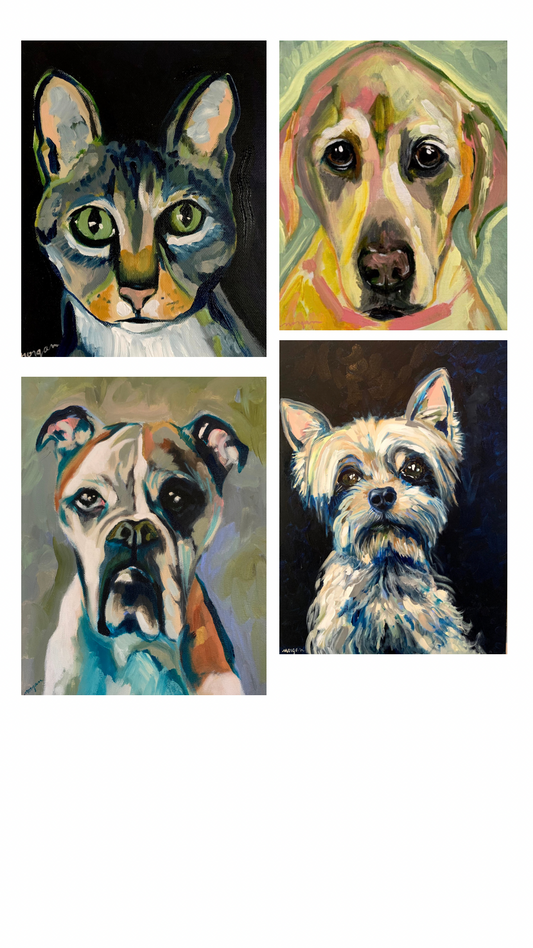 A limited return of the Pet Portraits