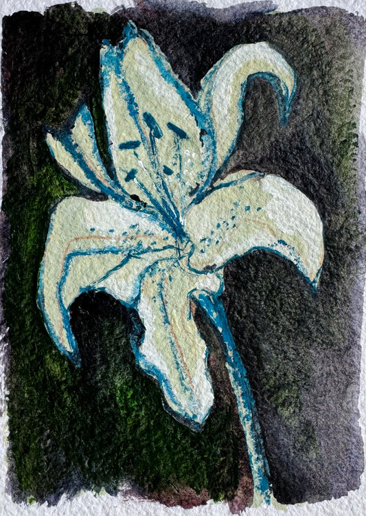 Spring Flowers 2026 #4