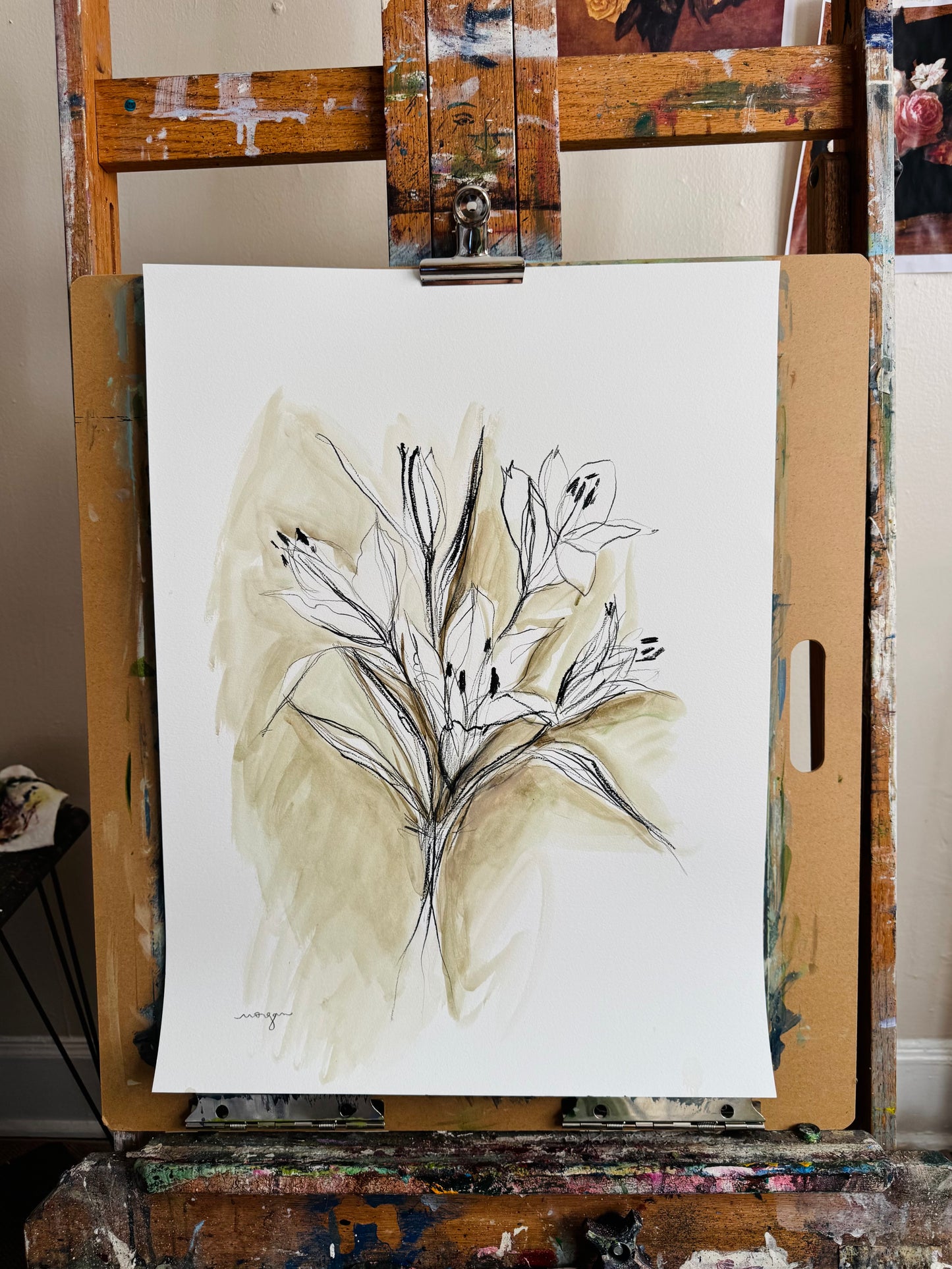 Lily Studies 18x24”