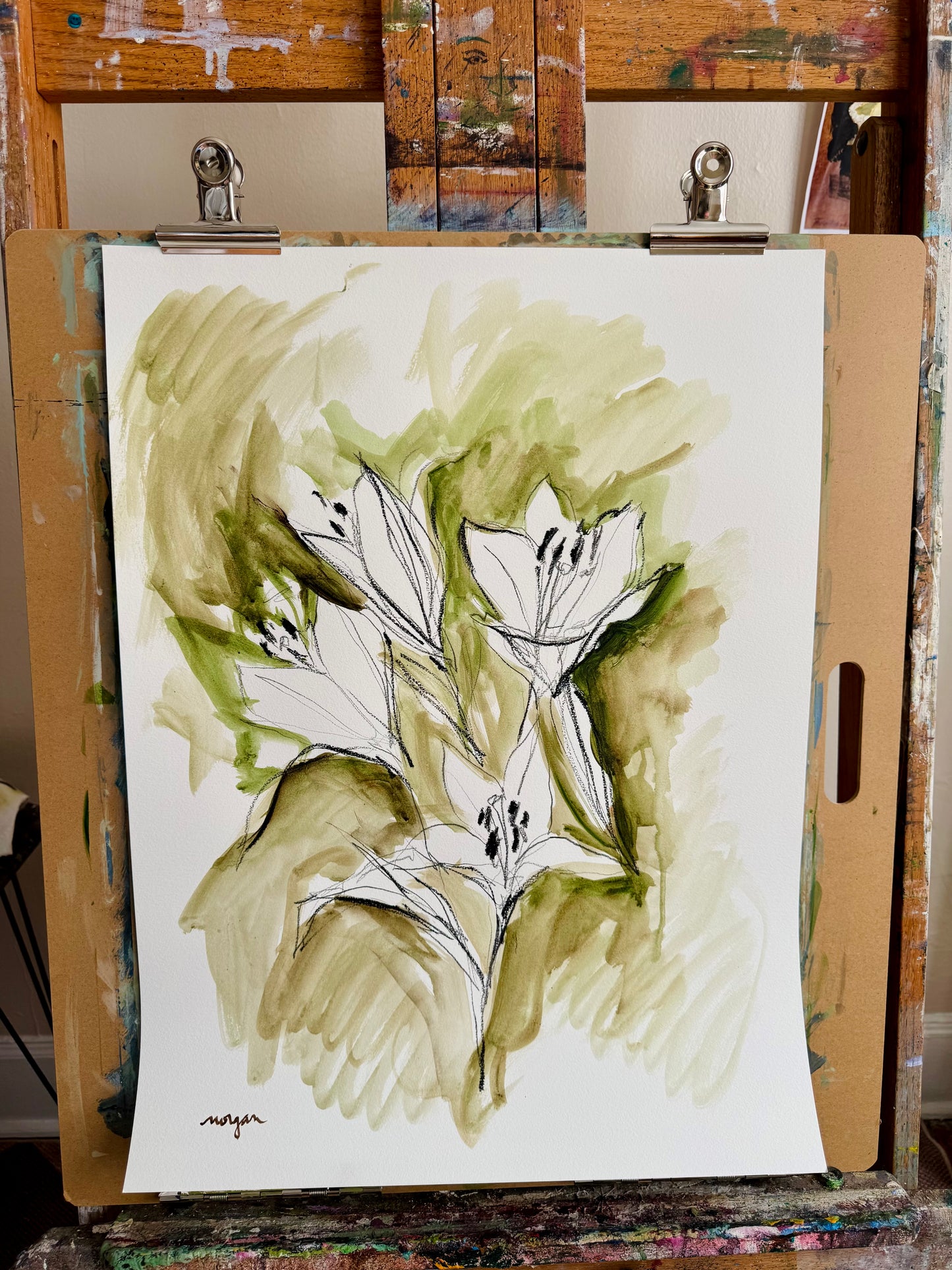 Lily Studies 18x24”