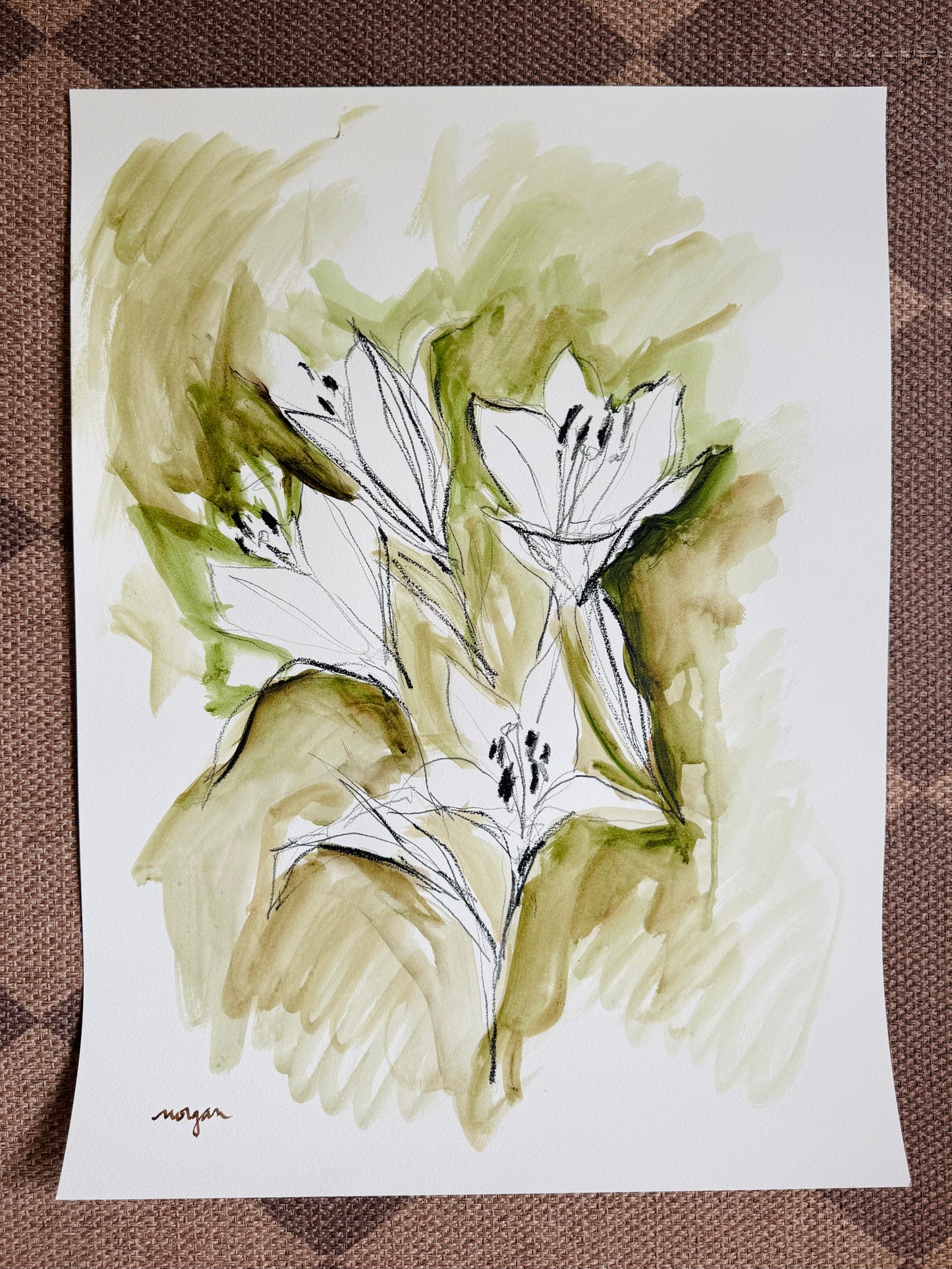 Lily Studies 18x24”