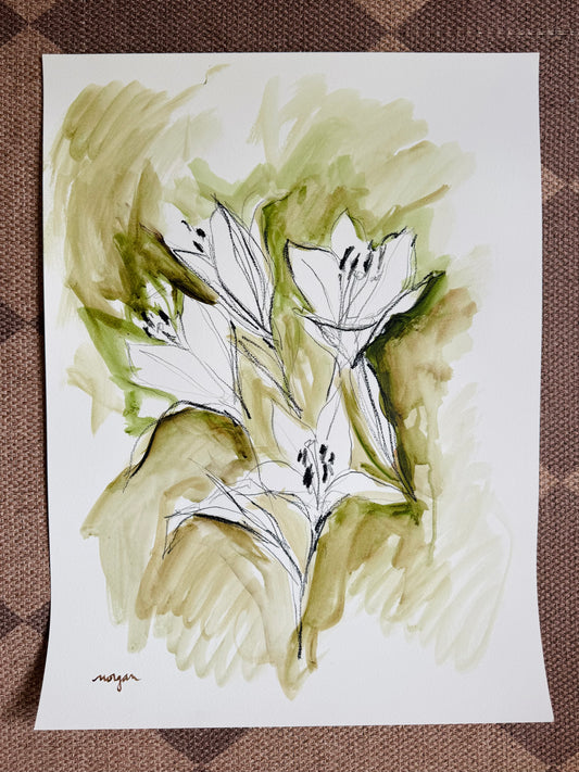 Lily Studies 18x24”