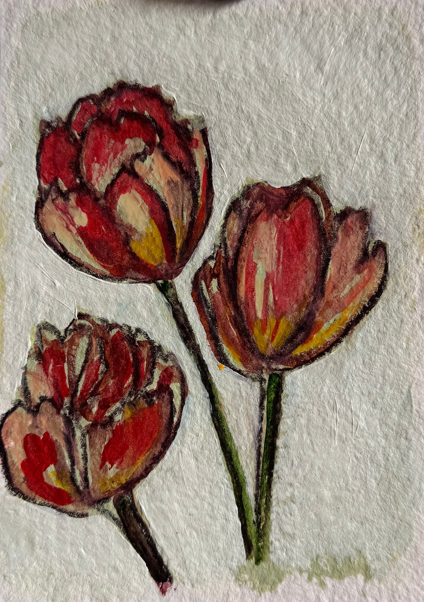 Spring Flowers 2026 #5
