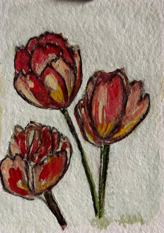 Spring Flowers 2026 #5