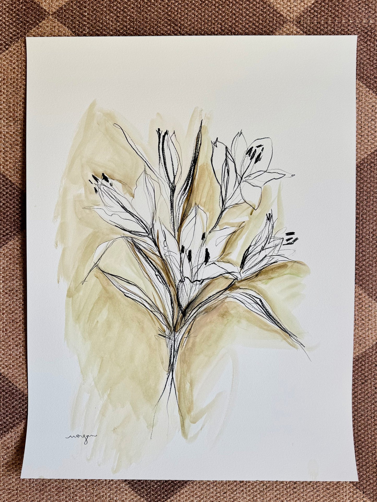 Lily Studies 18x24”