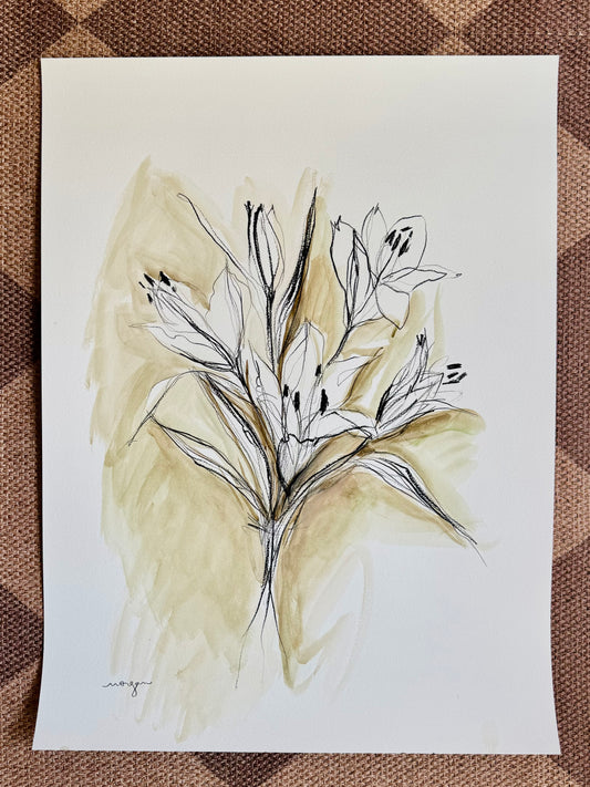 Lily Studies 18x24”