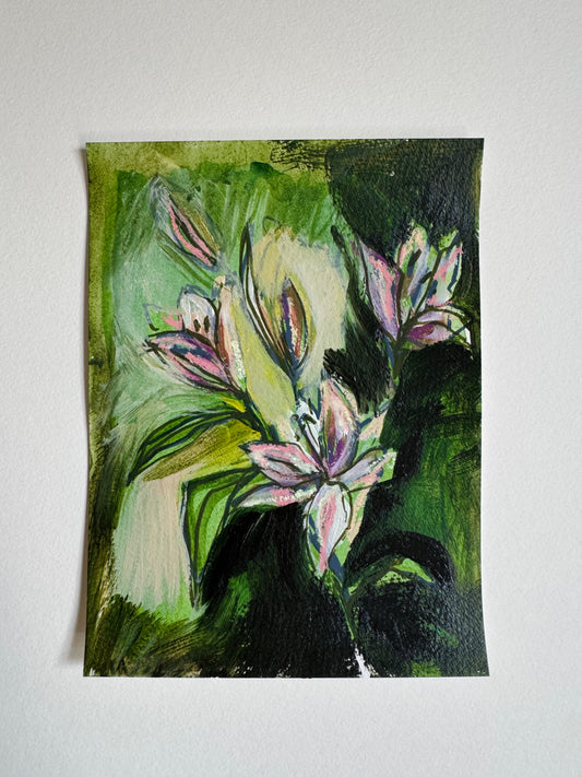 Lily Studies