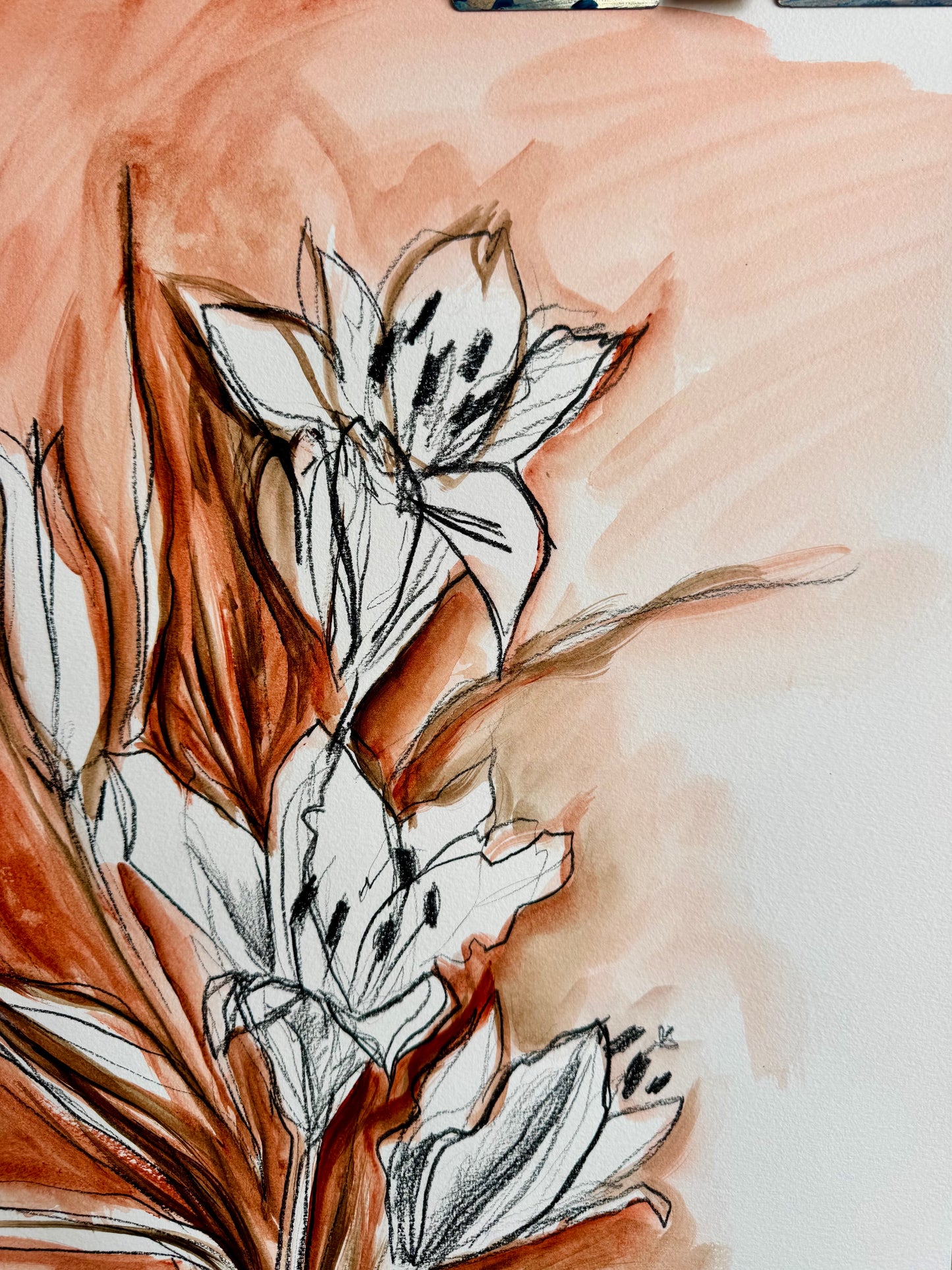 Lily Studies 18x24”