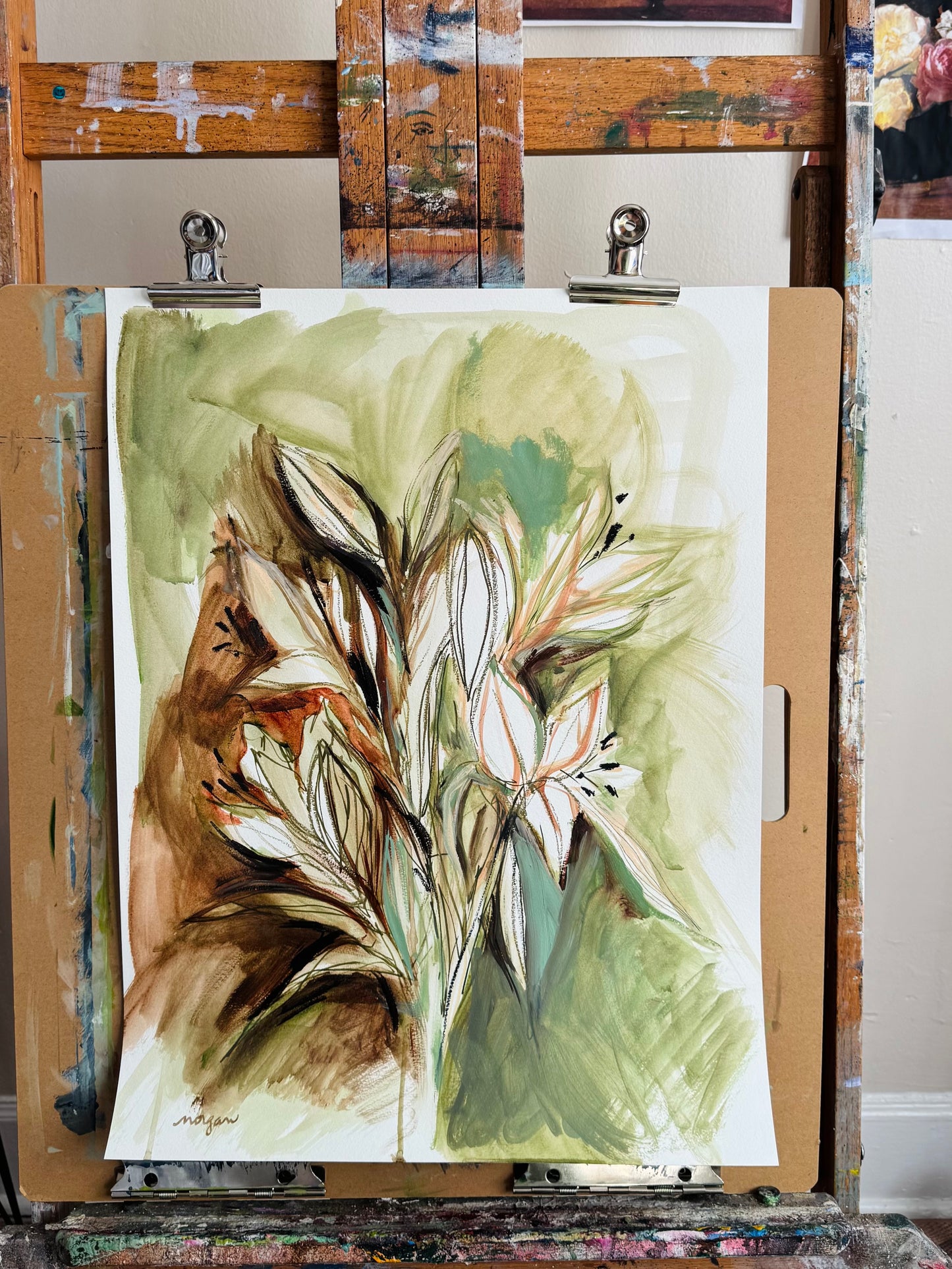 Lily Studies 18x24”