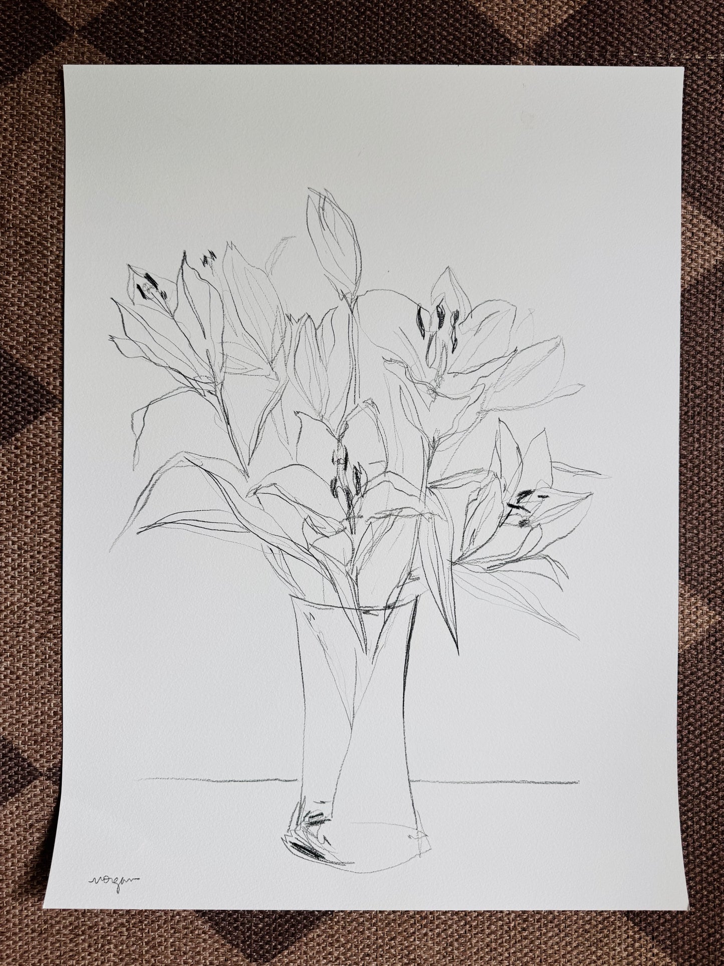 Lily Studies 18x24”