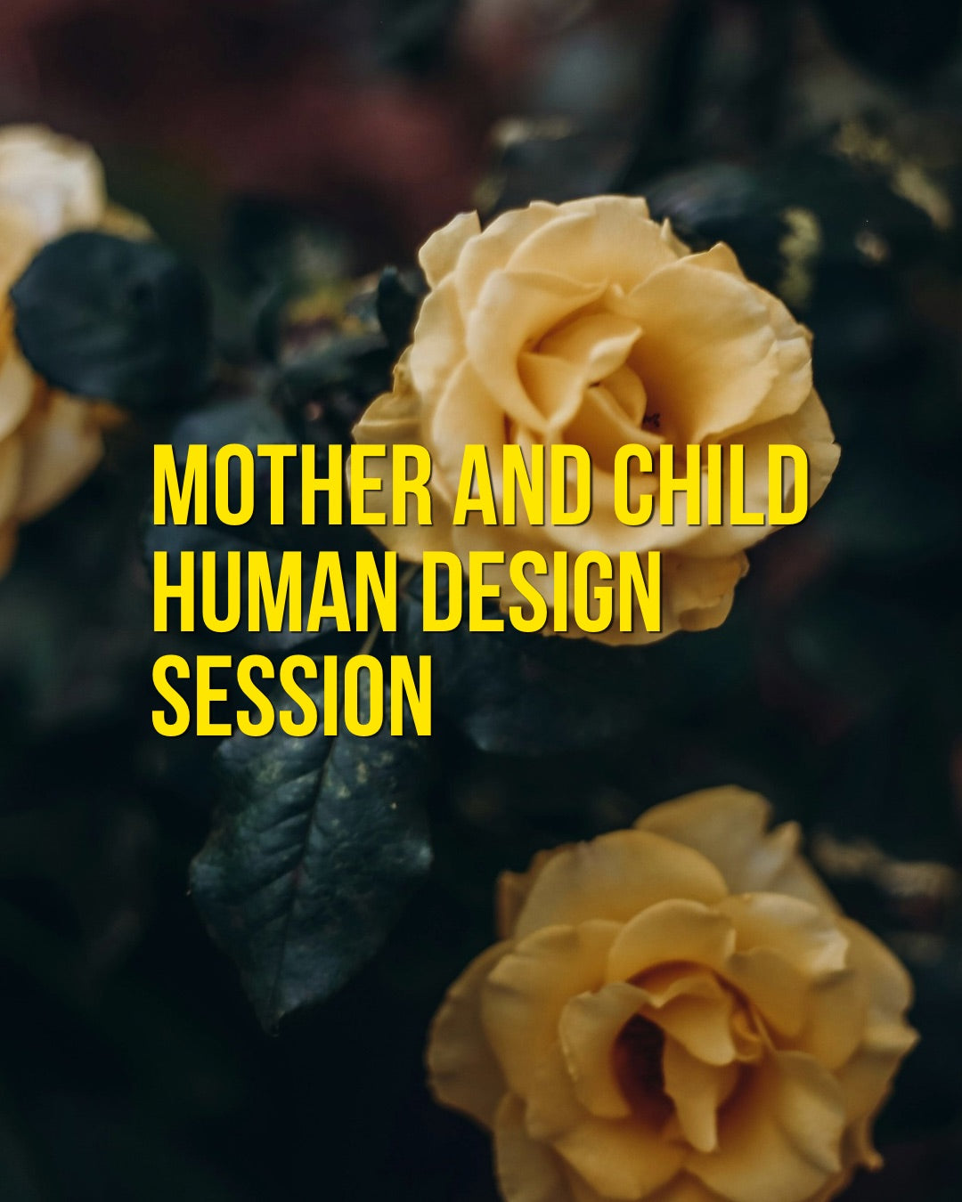 Mother-Child Human Design session